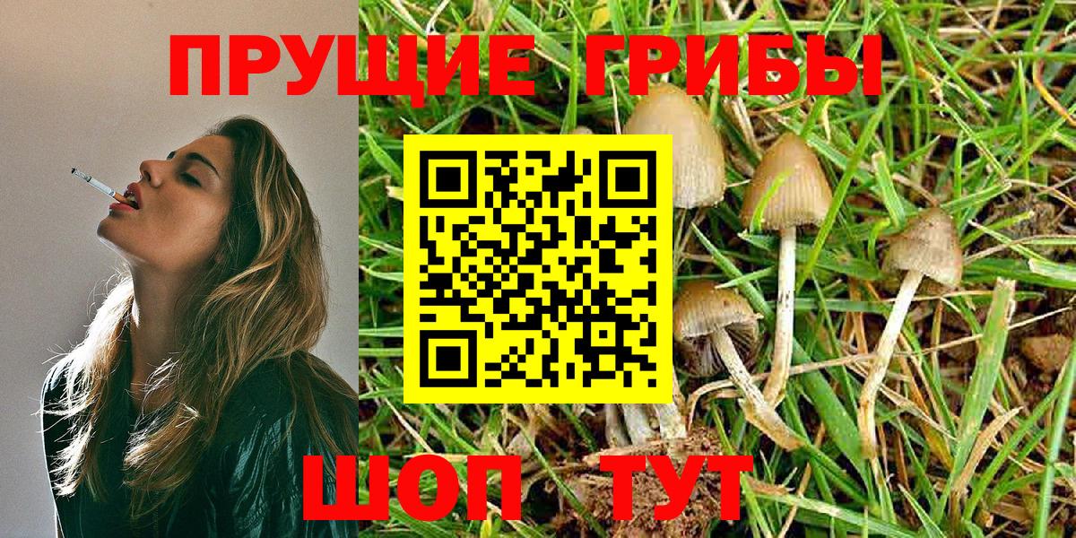 Курчалой  ГАШИШ  Вход с VPN  Бошки Шишки  КОКАИН  NBOMe  APVP СК   ГАШ  Марихуана  Мефедрон кристаллы 